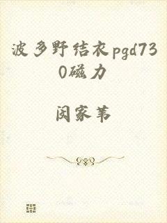 波多野结衣pgd730磁力