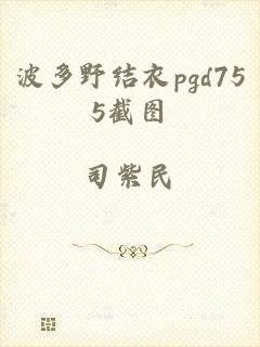 波多野结衣pgd755截图