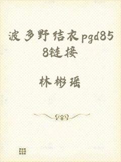 波多野结衣pgd858链接