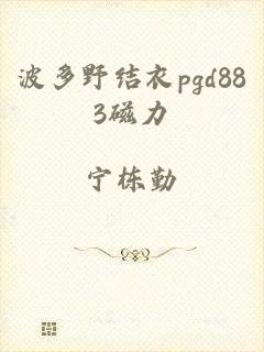 波多野结衣pgd883磁力