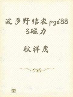 波多野结衣pgd883磁力