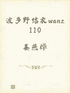 波多野结衣wanz110