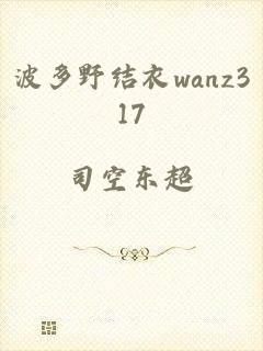 波多野结衣wanz317