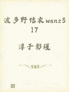 波多野结衣wanz317