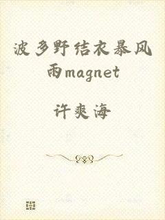 波多野结衣暴风雨magnet