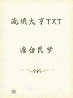 流氓大亨TXT