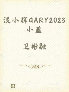 浪小辉GARY2023小蓝