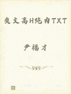 爽文高H纯肉TXT