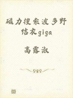 磁力搜索波多野结衣giga