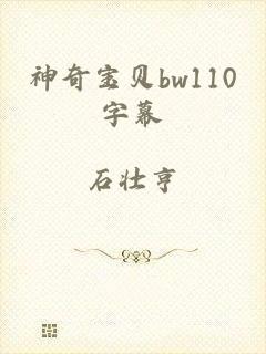 神奇宝贝bw110字幕