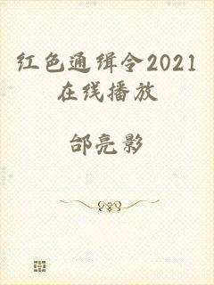 红色通缉令2021在线播放