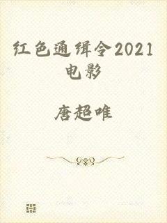 红色通缉令2021电影