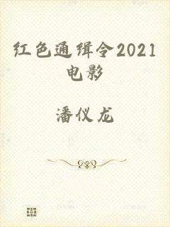 红色通缉令2021电影