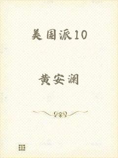 美国派10