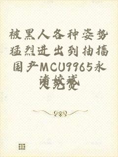 被黑人各种姿势猛烈进出到抽搐国产MCU9965永久免费