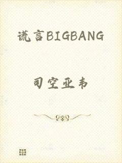 谎言BIGBANG