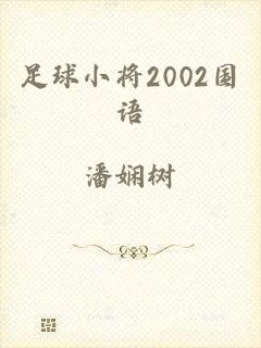 足球小将2002国语