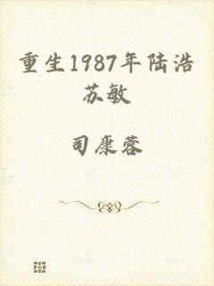 重生1987年陆浩苏敏