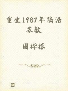 重生1987年陆浩苏敏
