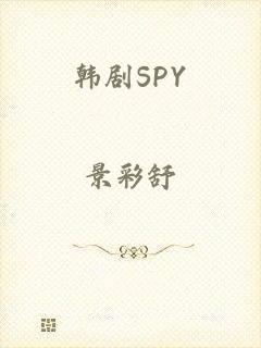 韩剧SPY