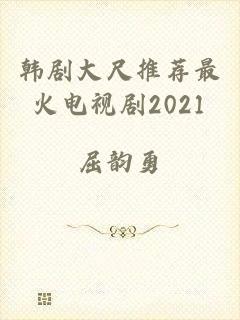 韩剧大尺推荐最火电视剧2021