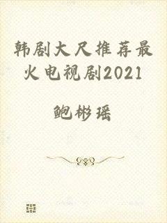 韩剧大尺推荐最火电视剧2021