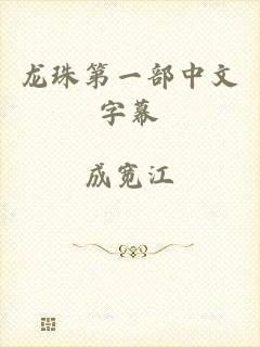 龙珠第一部中文字幕